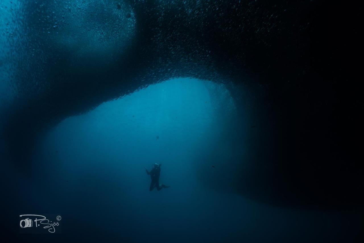 Divers Lodge Moalboal Kültér fotó